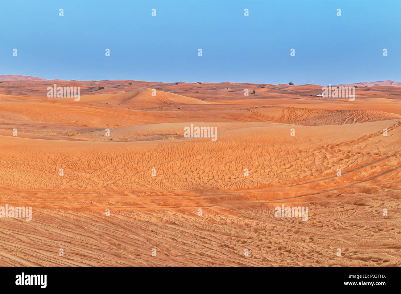 De belles dunes de sable dans le désert. Banque D'Images