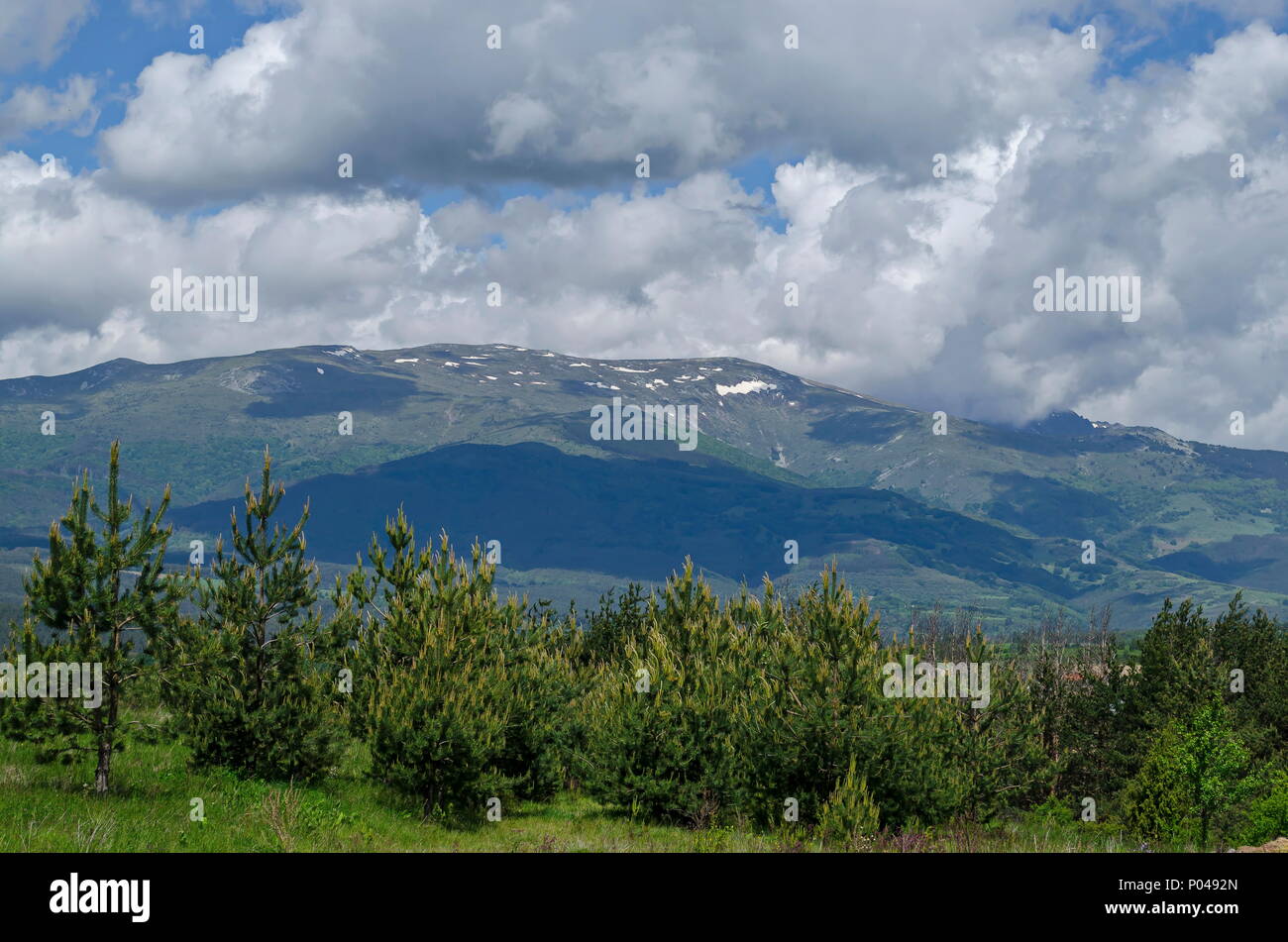 Scène de montagne printemps avec glade, forêt et le quartier résidentiel de Plana, village bulgare, la Bulgarie montagne Plana Banque D'Images