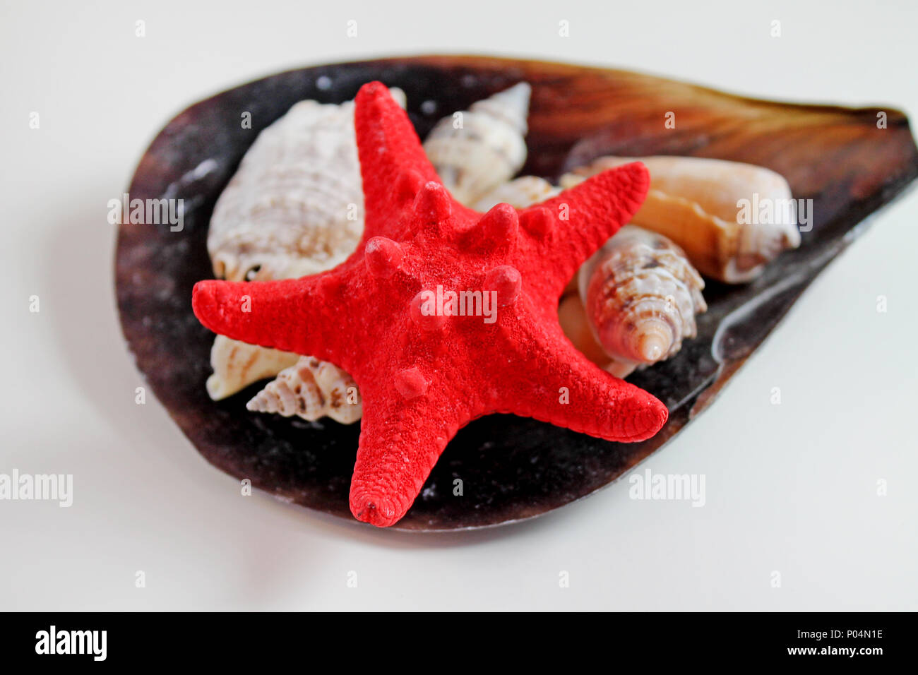 L'étoile rouge avec Cockleshell sur fond blanc. Banque D'Images
