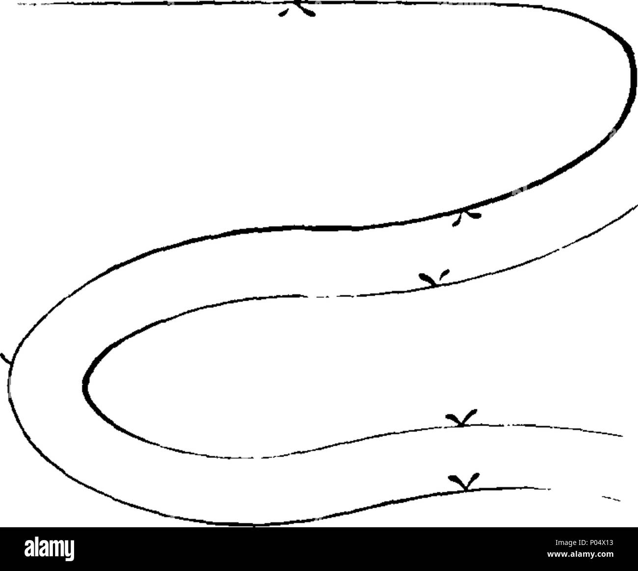 . Anglais : Fleuron du livre : une méthode simple et concise de l'apprentissage qui occupent une partie du pays, par des danses de caractères. Le préfixe à la figure du menuet, par Nicholas Dukes, maître à danser. 71 Une méthode simple et concise de l'apprentissage qui occupent une partie de pays de danses, au moyen de caractères Fleuron T124803-54 Banque D'Images