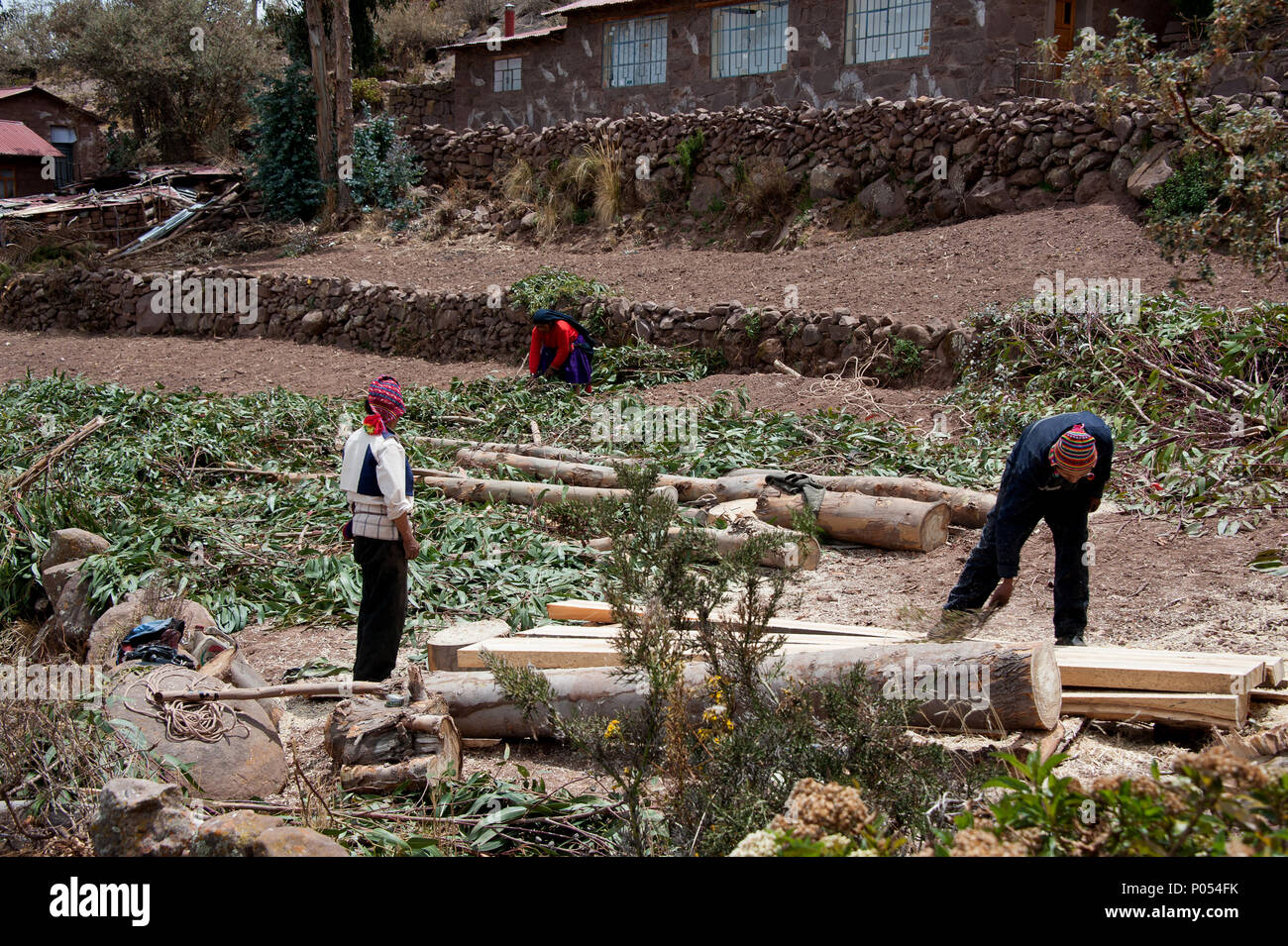 Les travailleurs qui construisent sur leurs terres agricoles, de l'île de Taquile sur le lac Titicaca. Pérou Banque D'Images