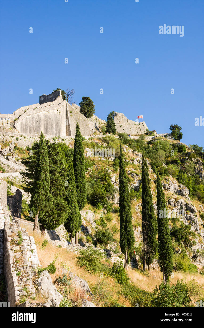 Vue de Collioure, Languedoc-Roussillon, France, french côte catalane Banque D'Images