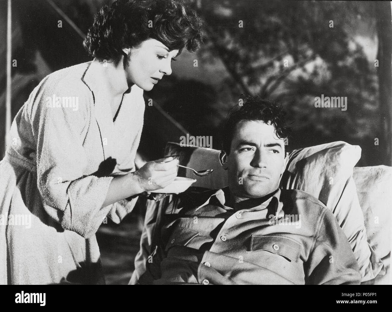 Les Neiges Du Kilimandjaro Film 1952 Titre original : les neiges du Kilimandjaro. Titre en anglais : les neiges  du Kilimandjaro. Directeur de film :