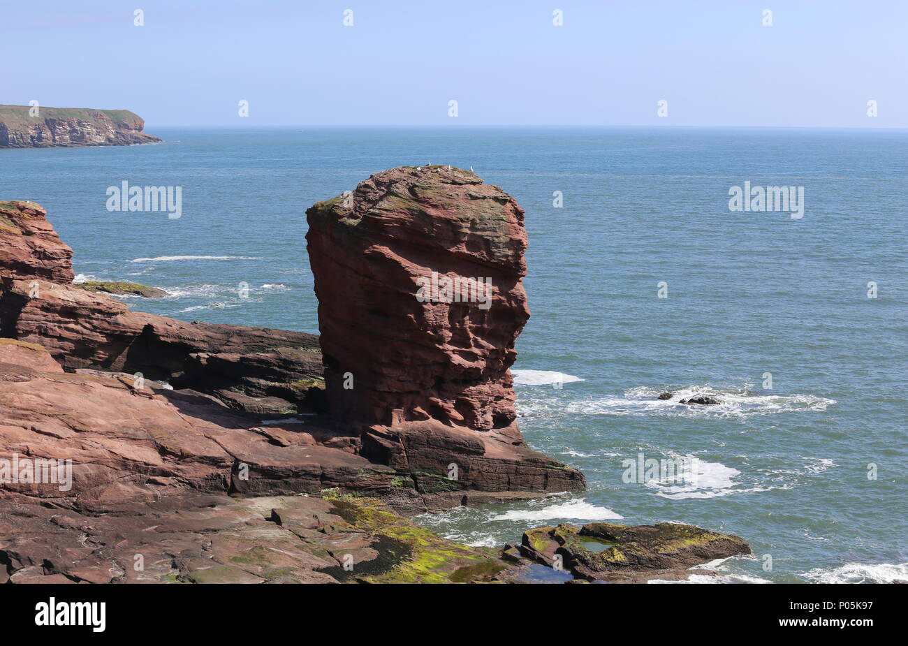 Deil's Heid pile mer Angus Scotland Juin 2018 Banque D'Images