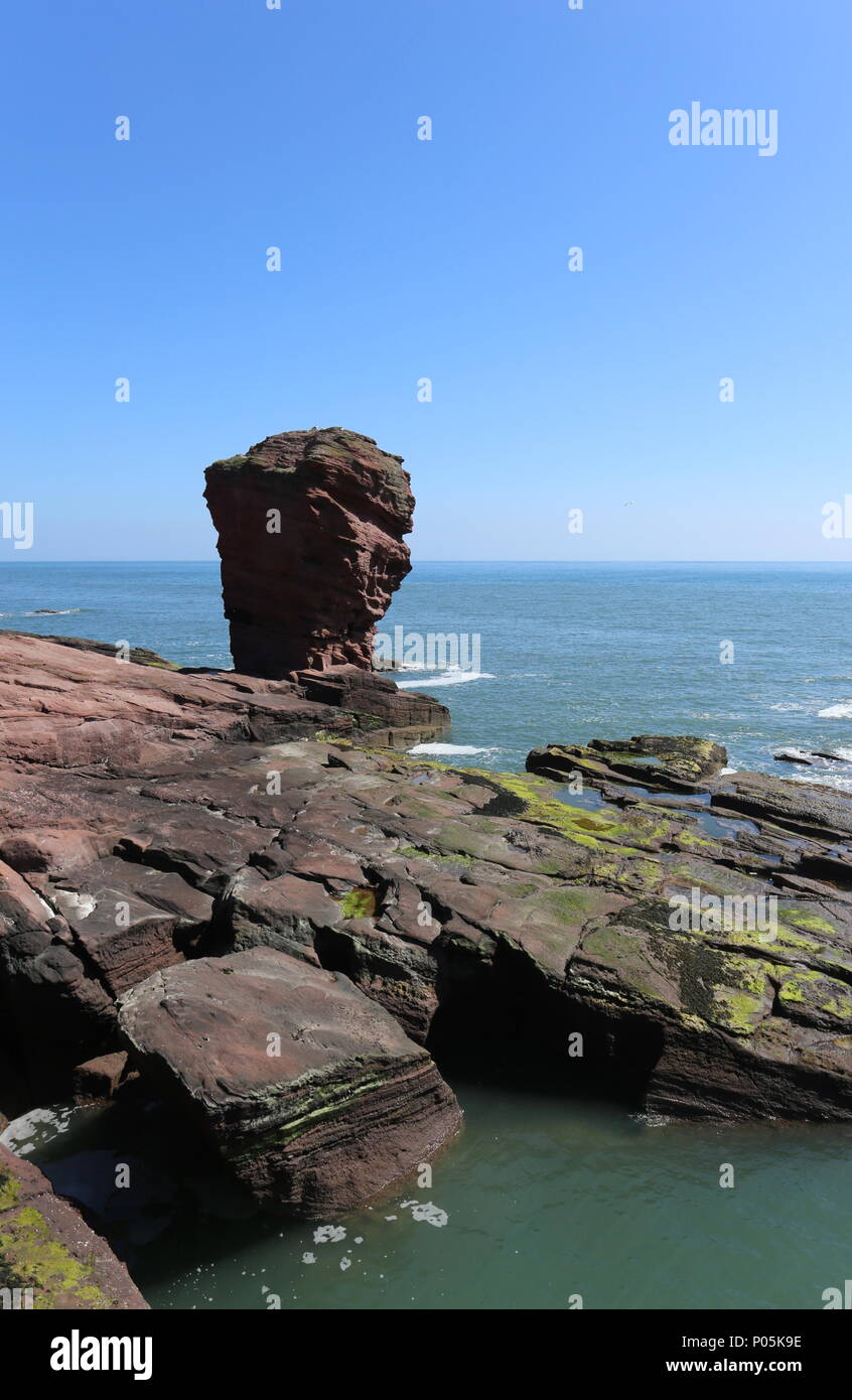 Deil's Heid pile mer Angus Scotland Juin 2018 Banque D'Images