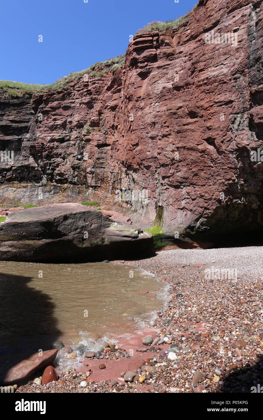 Petite plage entourée de falaises avec cliff Seaton Angus Scotland Juin 2018 Banque D'Images