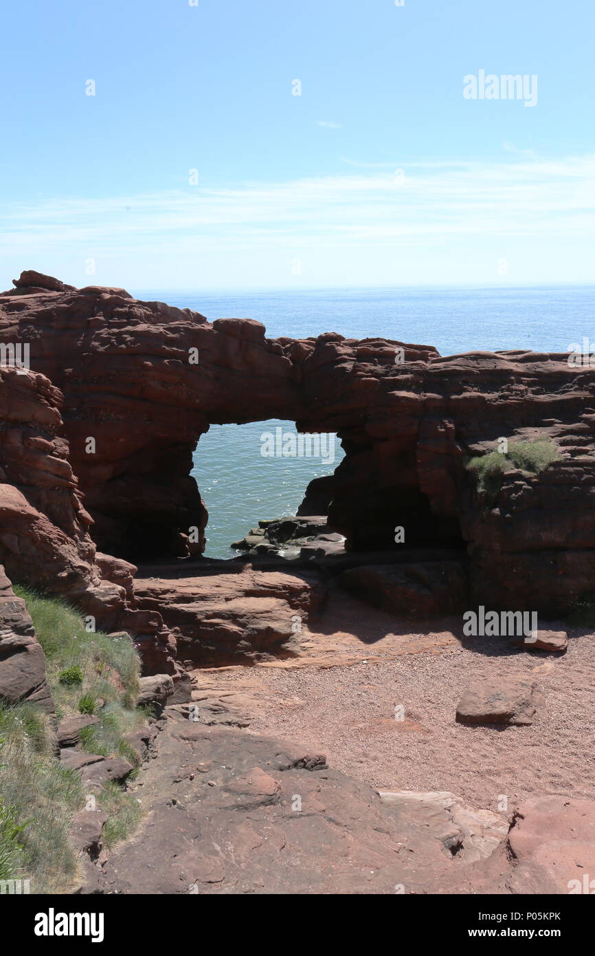 Aiguille E'e rock arch dans le grès rouge des falaises Seaton Angus Scotland Juin 2018 Banque D'Images