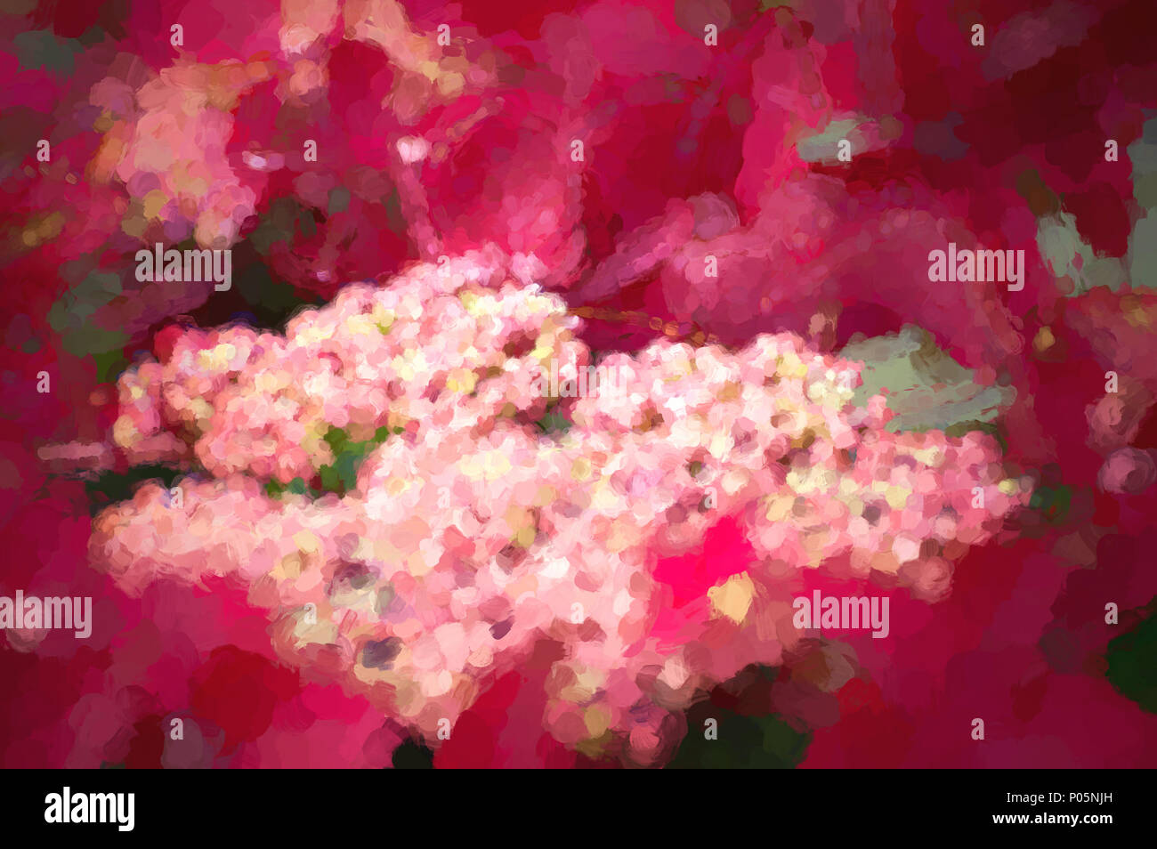 Aquarelle numérique abstrait image d'un hortensia rose. Banque D'Images