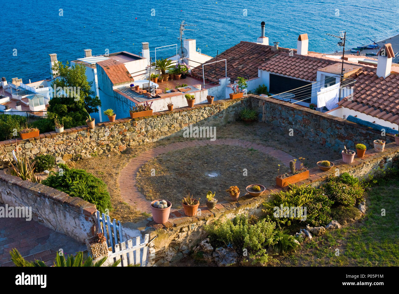 Jardin décoratif avec cactus en pots sur le toit, près de la mer Banque D'Images