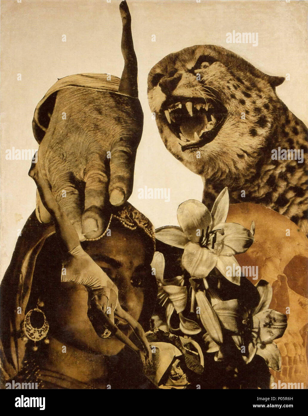 86 Párduc és liliom 1930-33 Banque D'Images