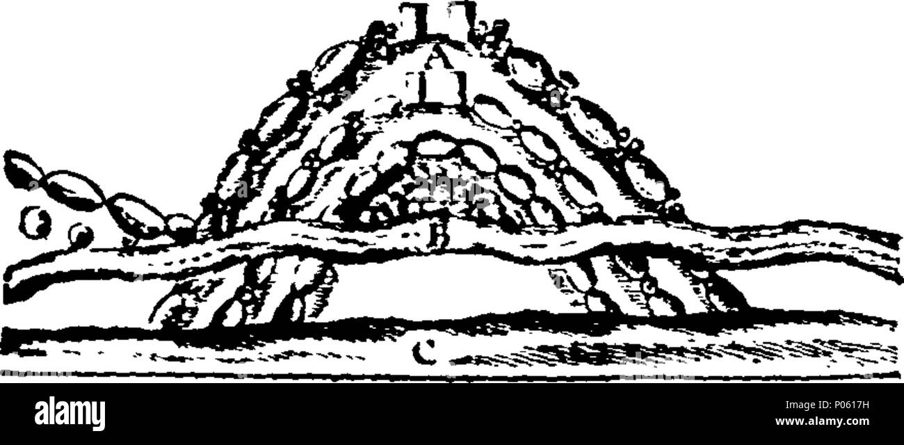 . Anglais : Fleuron du livre : une description de l'Angleterre et au Pays de Galles. Contenant un compte particulier de chaque comté ... Orné de deux cent quarante plaques de cuivre, des palais, des châteaux, des cathédrales ; ... 84 Une description de l'Angleterre et Pays de Galles Fleuron T063423-6 Banque D'Images