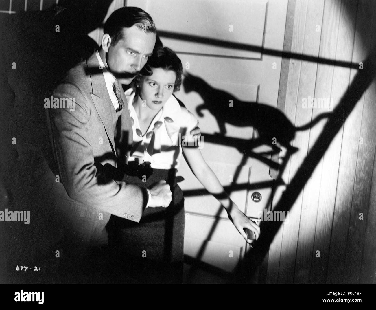 Film Original Titre Le Chat Noir Titre En Anglais Le