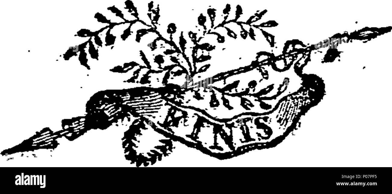 . Anglais : Fleuron du livre : Une histoire de la Franc-maçonnerie, et les devoirs incombant à l'engin ; à l'examen dans un discours devant les membres de la communion Lodge, à Bridgewater, lors de leur première réunion ordinaire, le 30 juin, I.A. 5797. Par Hector Orr, R.W.M. élus. [Une ligne de citation en Latin]. 113 Une histoire de la Franc-maçonnerie, et les devoirs incombant à l'engin ; à l'examen dans un discours devant les membres de la communion Lodge Fleuron W014474-3 Banque D'Images