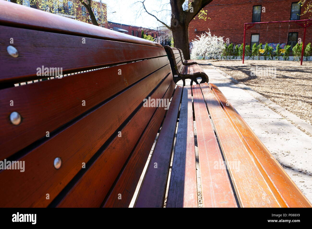 Parc banc vide pendant une belle journée avec des arbres, la rue et les voitures en arrière-plan. Banque D'Images