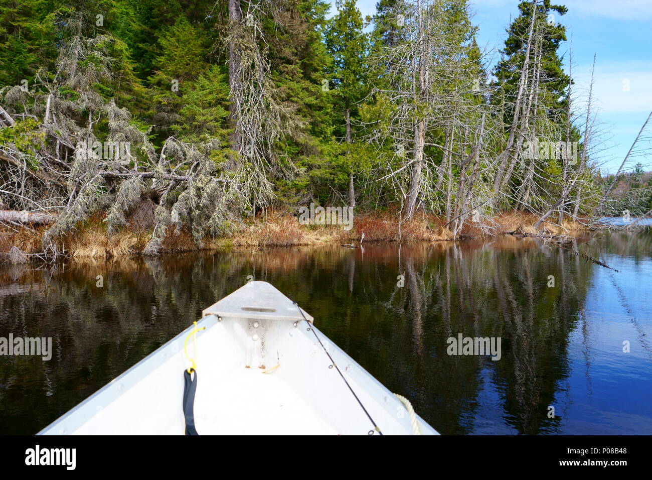 Avant d'un bateau sur un lac calme au cours d'une belle journée. Le bateau de pêche à l'avance sur l'eau calme. Le lac est situé dans le Nord du Québec, Canada. Banque D'Images