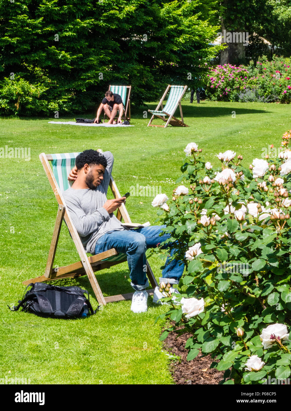 Les gens se détendre dans le soleil, la Queen Mary's Gardens, Roseraie, Regents Park, London, England, UK, FR. Banque D'Images