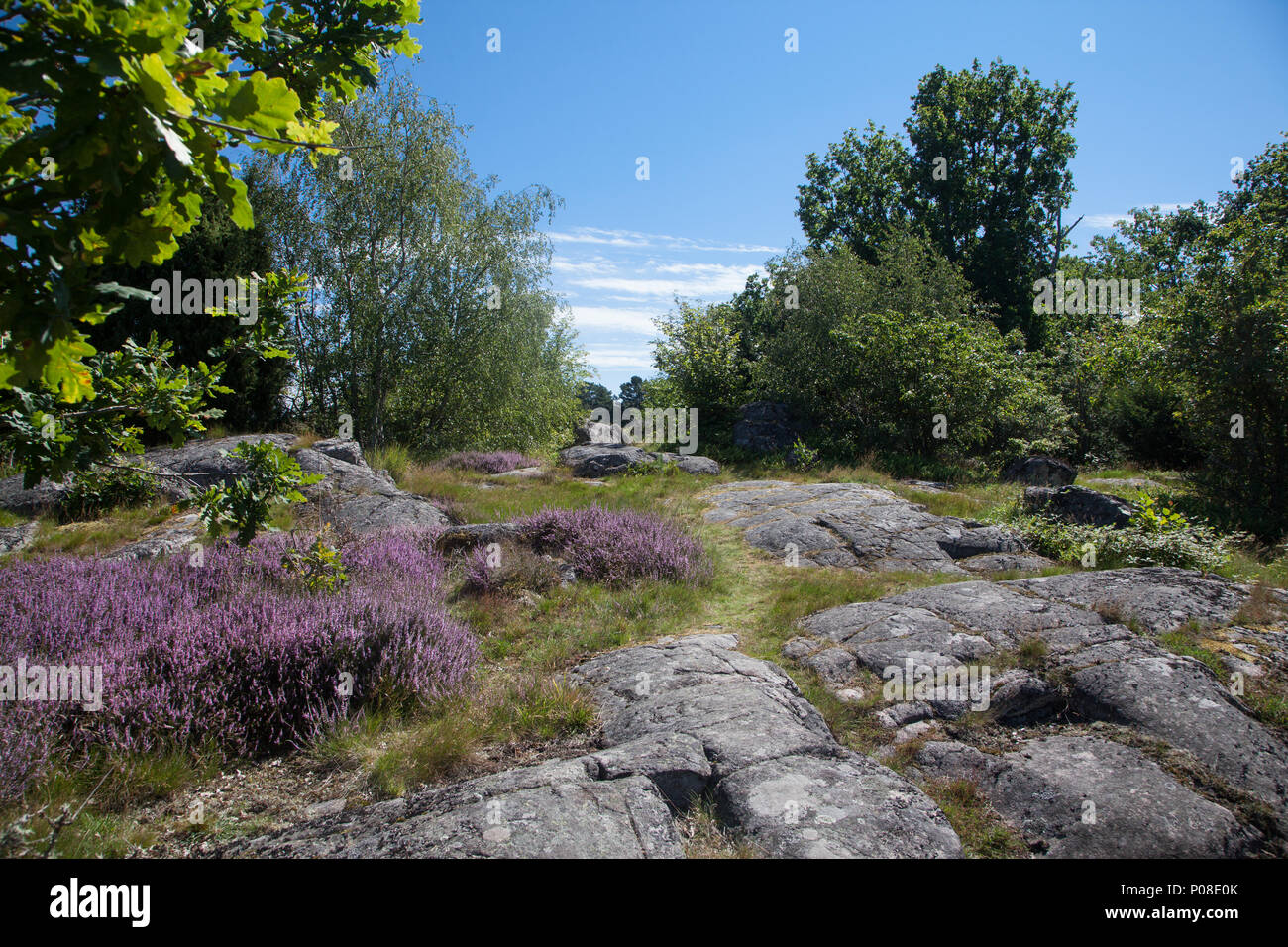 Typische Landschaft dans Südschweden paysage typique en Suède Banque D'Images