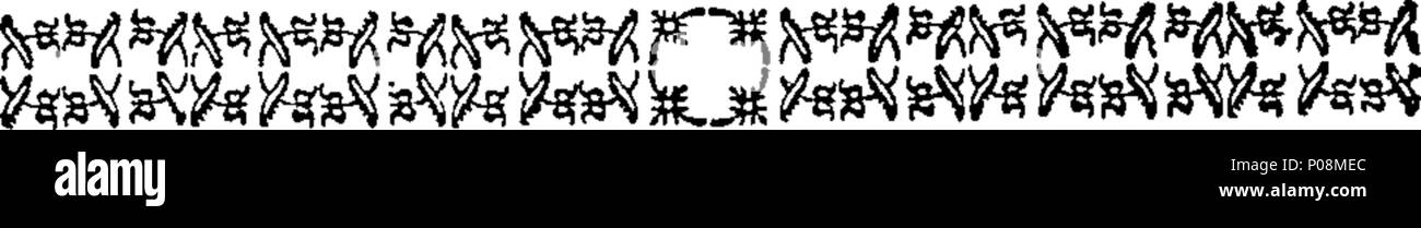. Anglais : Fleuron du livre : Salomon : Rezon Ahiman ; ou une aide pour tous ceux qui sont, ou seraient libres et acceptés maçons. Par Lau. Dermott, Vice-Grand Maître. Salomon : Rezon Ahiman 272 ; ou une aide pour tous ceux qui sont, ou seraient libres et acceptés maçons Fleuron N029511-12 Banque D'Images