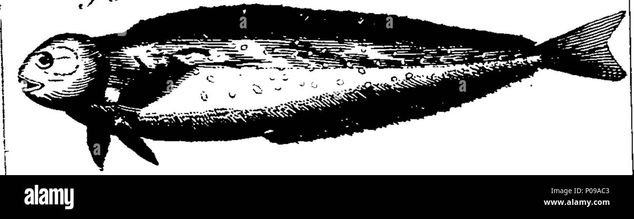 . Anglais : fleuron de livre : un nouveau dictionnaire complet et des arts et des sciences ; comprendre toutes les branches de connaissances utiles, avec des descriptions précises et des diverses machines, instruments, outils, figures, schémas et nécessaire pour les illustrant, comme des classes, types, les préparatifs, et les utilisations des productions naturelles, si les animaux, légumes, minéraux, fossiles, ou des fluides ; de concert avec les royaumes, provinces, villes, villages et autres lieux remarquables à travers le monde. Illustré de plus de trois cents plaques de cuivre, gravée par M. Jefferys, géographe de son Banque D'Images