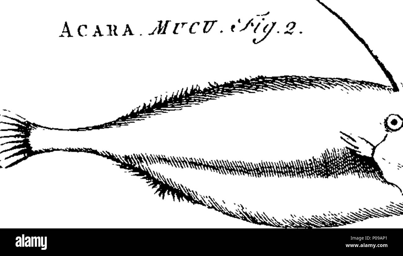 . Anglais : fleuron de livre : un nouveau dictionnaire complet et des arts et des sciences ; comprendre toutes les branches de connaissances utiles, avec des descriptions précises et des diverses machines, instruments, outils, figures, schémas et nécessaire pour les illustrant, comme des classes, types, les préparatifs, et les utilisations des productions naturelles, si les animaux, légumes, minéraux, fossiles, ou des fluides ; de concert avec les royaumes, provinces, villes, villages et autres lieux remarquables à travers le monde. Illustré de plus de trois cents plaques de cuivre, curieusement gravée par M. Jefferys, Géograph Banque D'Images
