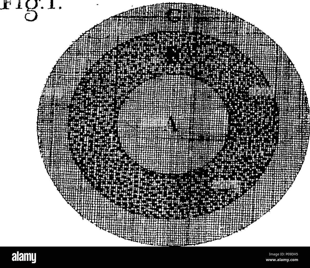 . Anglais : fleuron de livre : Un résumé de l'œuvre de John Hutchinson, écuyer. Étant un résumé de ses découvertes en philosophie et théologie. 286 Un résumé de l'œuvre de John Hutchinson, écuyer Fleuron T099488-1 Banque D'Images