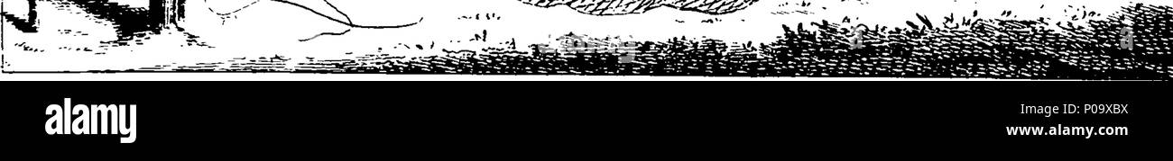 290 un compte d'aërial le premier voyage en Angleterre Fleuron T143389-3 Banque D'Images