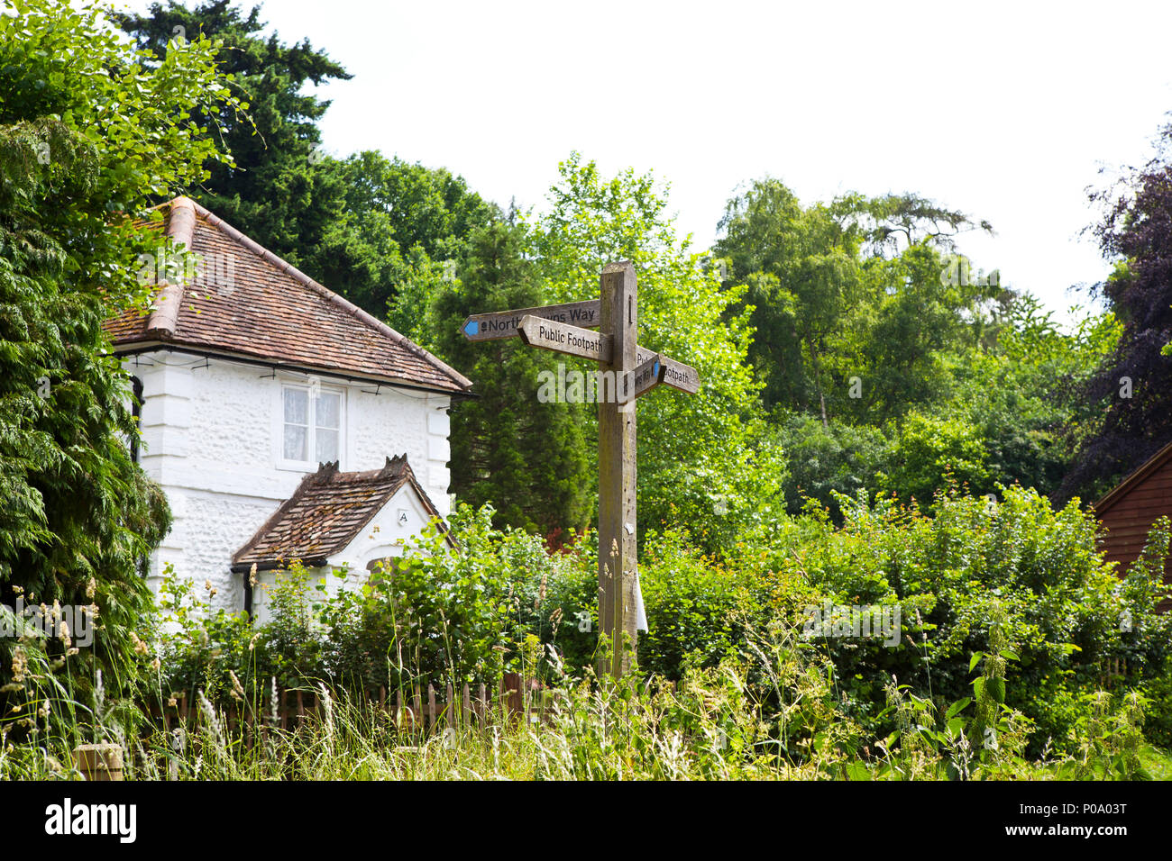 North downs way sentier public panneau en bois en chemin de campagne près de Guildford Surrey Banque D'Images