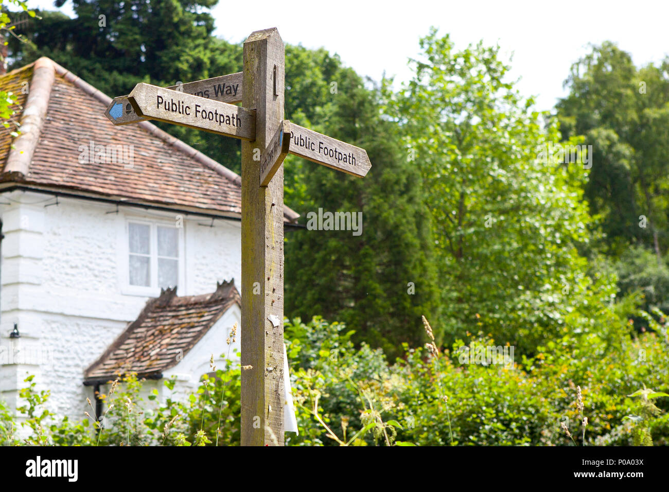 North downs way sentier public panneau en bois en chemin de campagne près de Guildford Surrey Banque D'Images