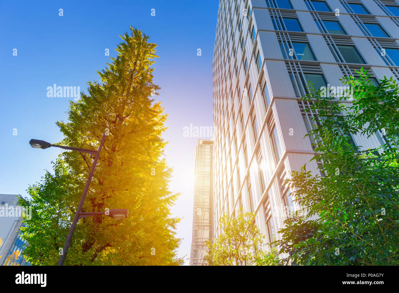 Eco green mairie piscine blue sky Banque D'Images