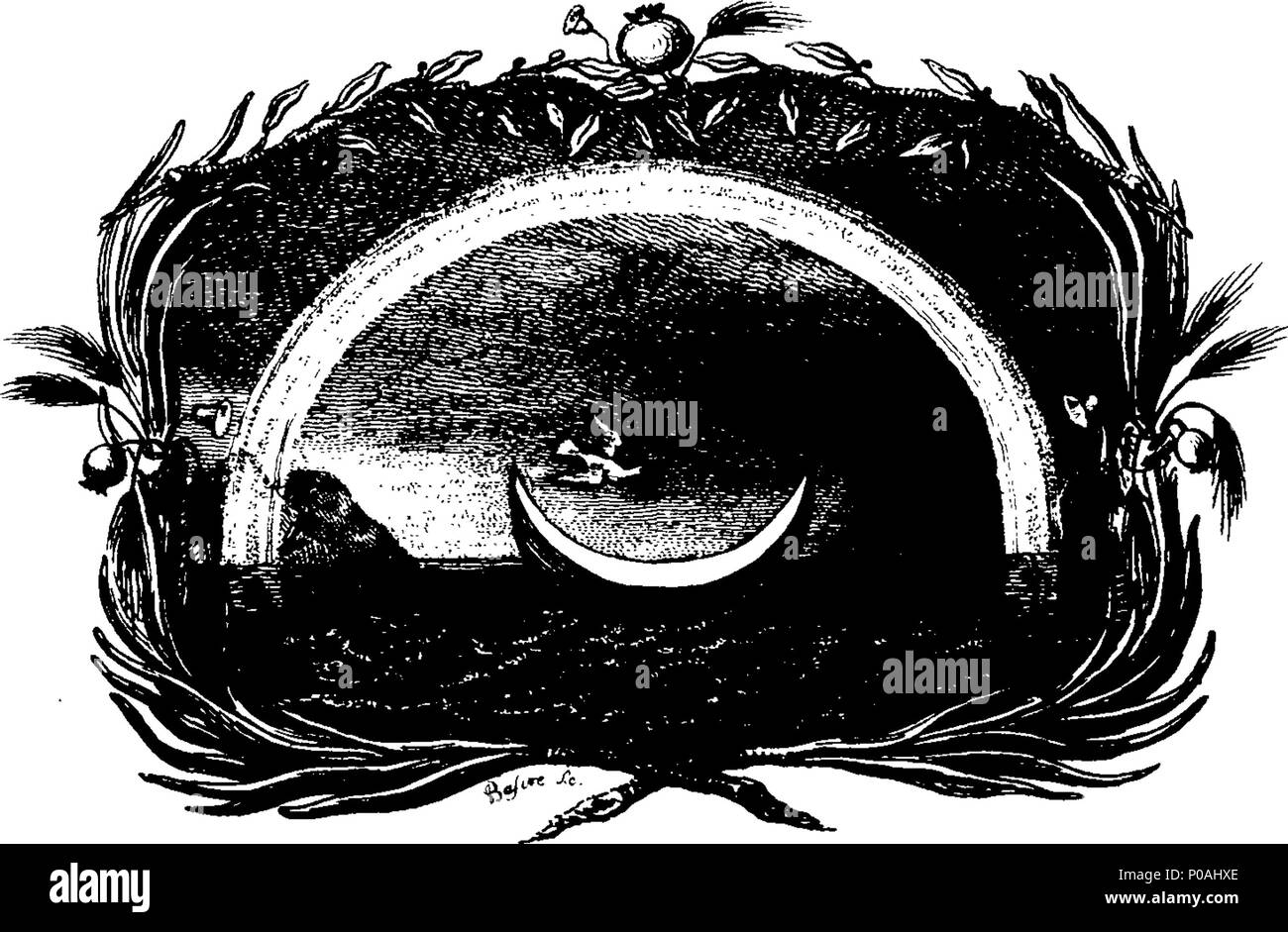 . Anglais : fleuron de livre : un nouveau système, ou, une analyse de la mythologie antique : où l'on tente de se départir de tradition de fable et de réduire la vérité à sa pureté d'origine. Dans ce travail est l'histoire des Babyloniens, chaldéens, égyptiens, les Cananéens, Helladians, Ioniens, Leleges, Doriens, Pelasgi, aussi des Scythae, Indo-Scythae, des Ethiopiens, des Phéniciens. L'ensemble contient un compte rendu des principaux événements dans le premier âge, du déluge à la dispersion : également des diverses migrations, qui a suivi, et les règlements faits par la suite dans différentes parties : Circumsta Banque D'Images