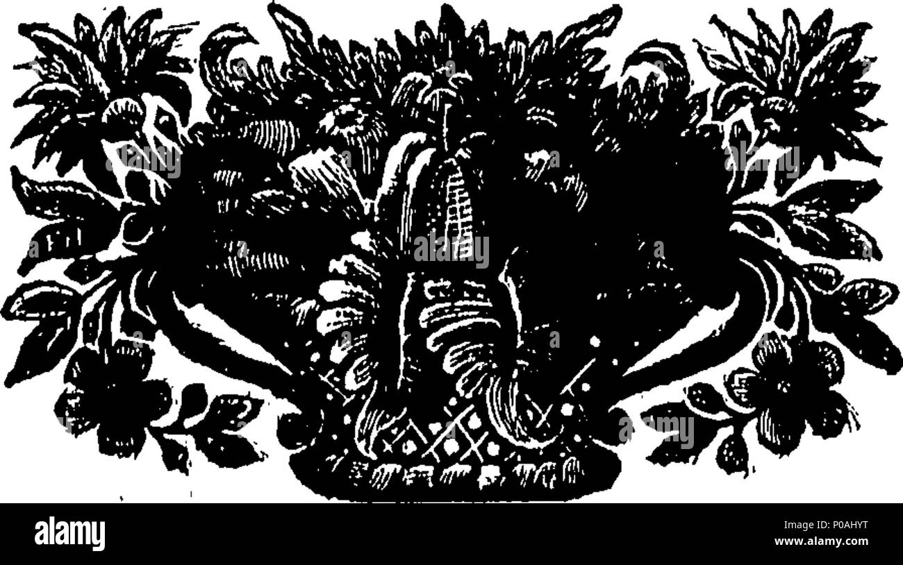 . Anglais : fleuron de livre : un nouveau système de l'agriculture. Être un corps complet de l'élevage et jardinage à toutes les parties d'entre eux. Viz. Dans le domaine de l'élevage, et de ses plusieurs améliorations. De la forêt et du bois d'arbres, grands et petits ; avec les verts et le débit'ring arbustes, &c. Du fruit-jardin. De la cuisine-jardin. De la fleur-jardin. En cinq livres. Contenant toutes les meilleures et les plus récentes, ainsi que beaucoup de nouvelles améliorations, utile pour le vigneron, grazier, semoir, jardinier et fleuriste. Où sont parsemées de nombreux curieux sur la végétation ; observations sur les maladies des arbres, et la ge Banque D'Images