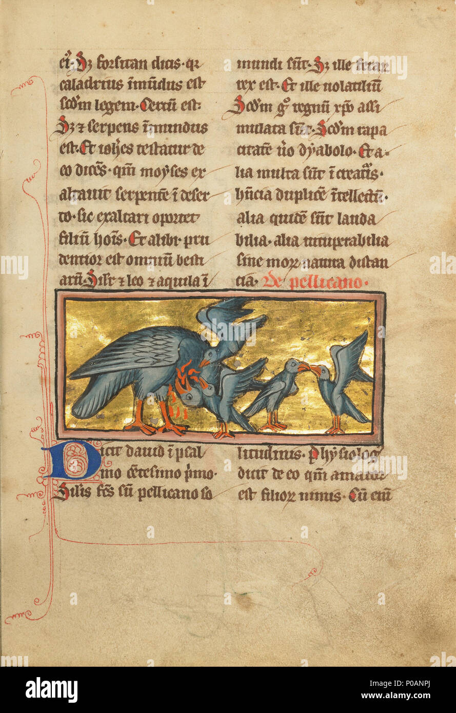 . Anglais : un pélican nourrissant ses jeunes . 1278/1299 166 un pélican nourrissant ses jeunes - Google Art Project (lgHqUJaXPUhT9Q) Banque D'Images
