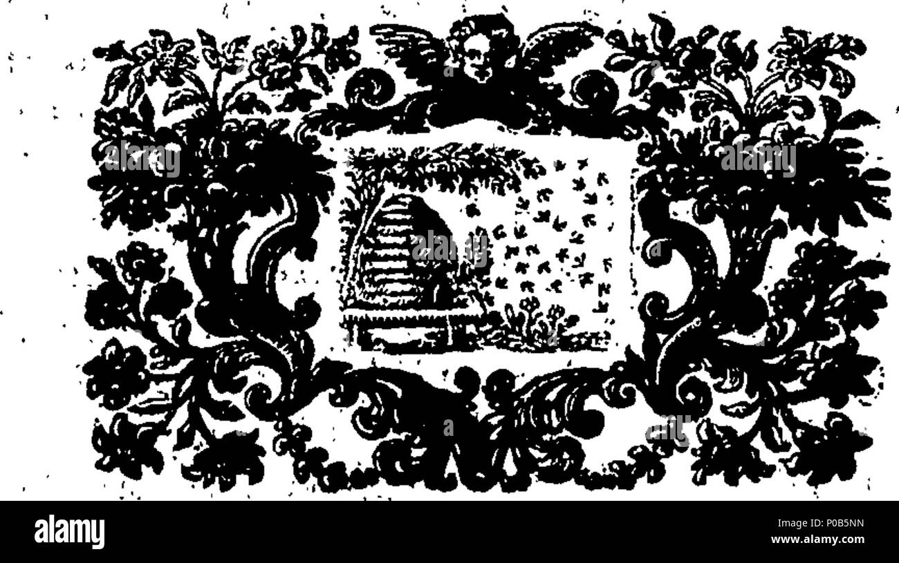 . Anglais : fleuron de livre : un essai mécanique et anatomique sur l'ensemble de l'oeconomie animale ; dans une seule vue. Où est usé, la plus belle réalisation de la nature dans toutes les phaenomena fréquentant humam [sic] ; ... Vol.II. Par John Cook, ... 304 Un essai mécanique et anatomique sur l'ensemble de l'oeconomie animale ; dans une vue Fleuron T138196-25 Banque D'Images
