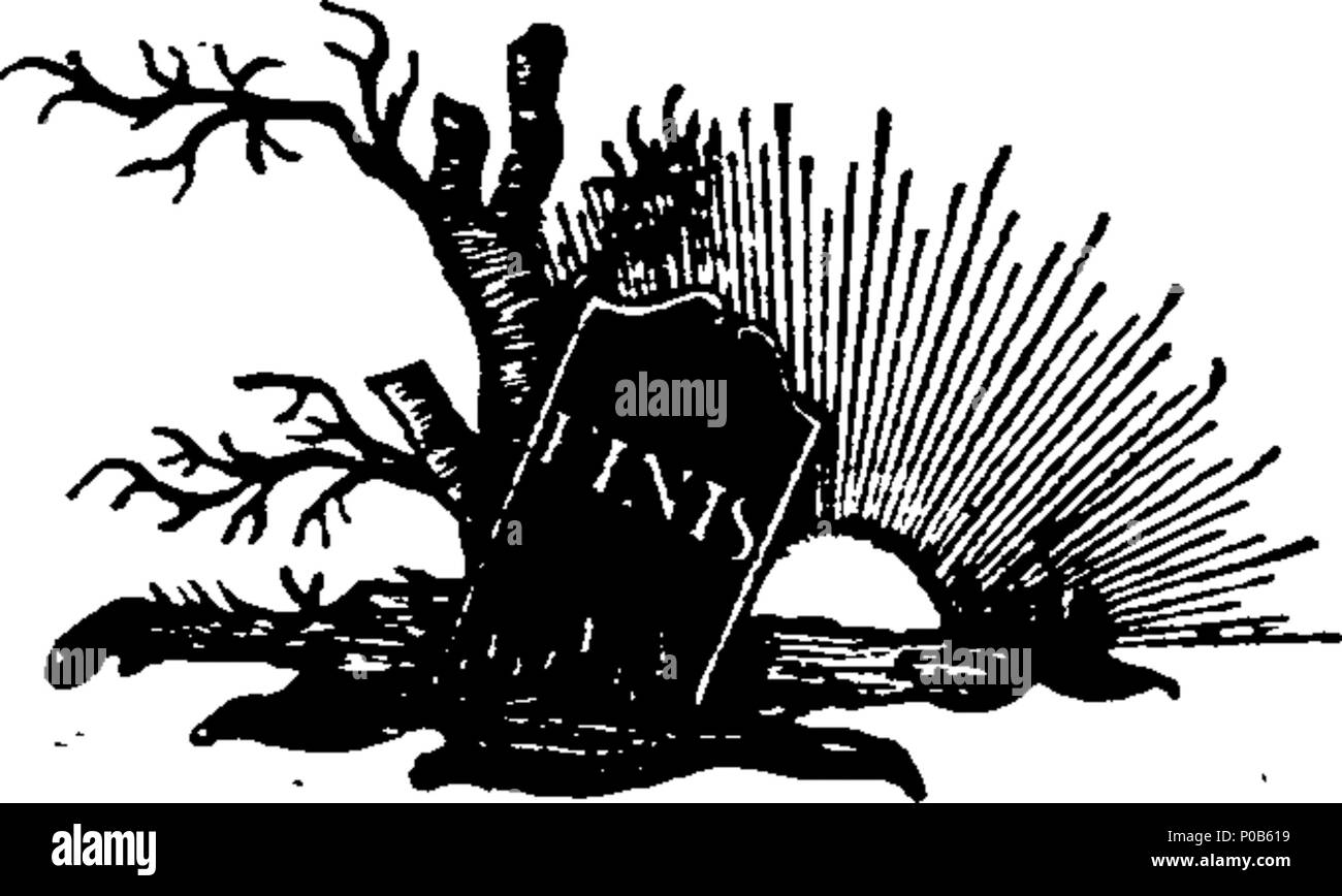 . Anglais : fleuron de livre : un plaidoyer pour la religion et les écrits sacrés : adressée aux disciples de Thomas Paine, et l'annulation de tous les chrétiens la persuasion : par le révérend David Simpson, M.A. 171 un plaidoyer en faveur de la religion, et les écrits sacrés- adressée à les disciples de Thomas Paine, et l'annulation de tous les chrétiens par la persuasion- Rev Fleuron T122041-2 Banque D'Images