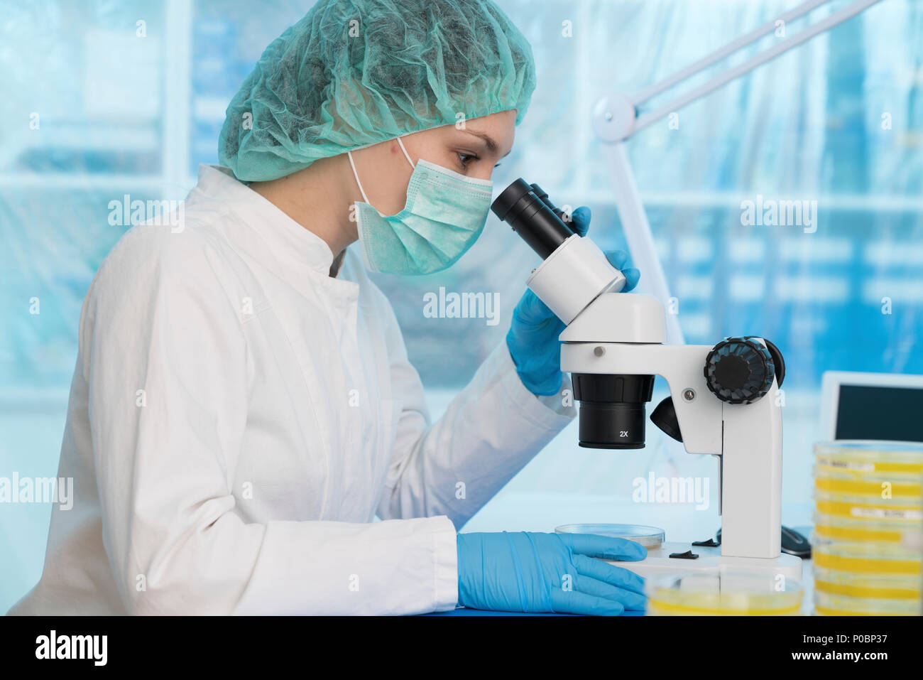A L Aide D Un Microscope Optique Scientifique Pour Examiner La Croissance Microbienne Sur Une Boite De Petri Photo Stock Alamy A L Aide D Un Microscope Optique Scientifique Pour Examiner La Croissance Microbienne Sur Une Boite De Petri Photo Stock Alamy