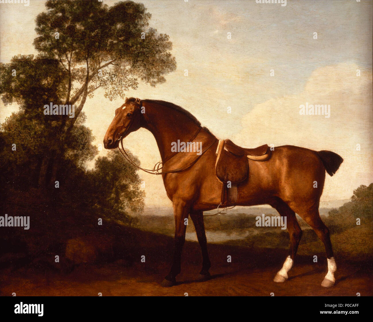 . Un supporter Bay Hunter . Un supporter Bay Hunter . 1786185 UN Sella Bay Hunter, par George Stubbs Banque D'Images
