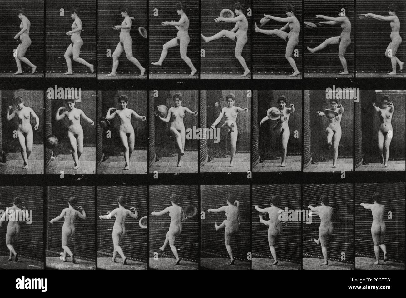 Stars : Eadweard Muybridge. Banque D'Images