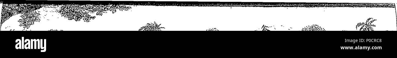 . Anglais : Fleuron du livre : une suite aux aventures du Baron de Münchhausen, ... Humblement dédié à M. Bruce, l'Abyssin traveller, ... 189 Une suite aux aventures du Baron de Münchhausen, humblement - dédié à M. Bruce, l'Abyssin, voyageur - Fleuron T111647-11 Banque D'Images