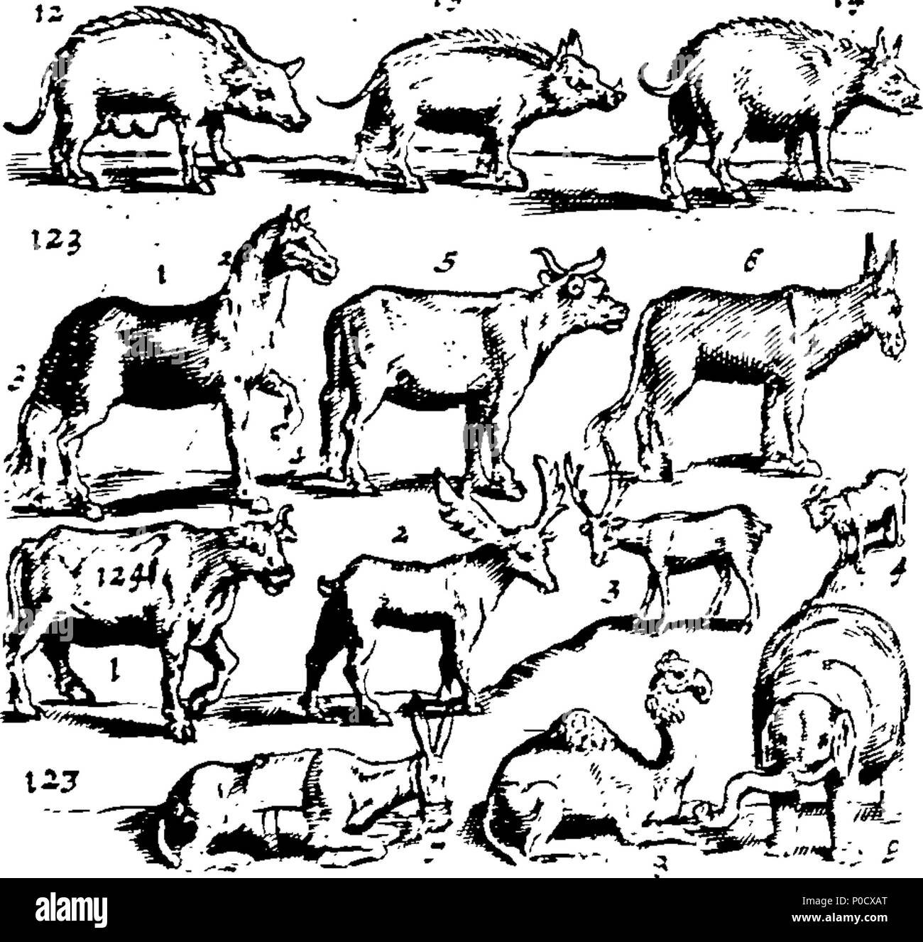 . Anglais : Fleuron du livre : Une courte et facile méthode pour donner aux enfants une idée ou vrai notion d'êtres humains : céleste et terrestre et de leur apprendre les noms de la plupart des choses qui sont utiles et nécessaires à la vie humaine : comme aussi, des arts et des sciences, les plantes, fruits et animaux ; comme poissons, oiseaux et bêtes Four-Footed : Français et Anglais. Représenté par plusieurs centaines de chiffres dans 38 des plaques de cuivre, en forme pour ceux qui sont désireux d'apprendre ces langues.  = méthode courte et facile pour donner aux enfans une idée des choses célestes et terrestres : Et pour leurs apprendre le nom et l'usage Banque D'Images