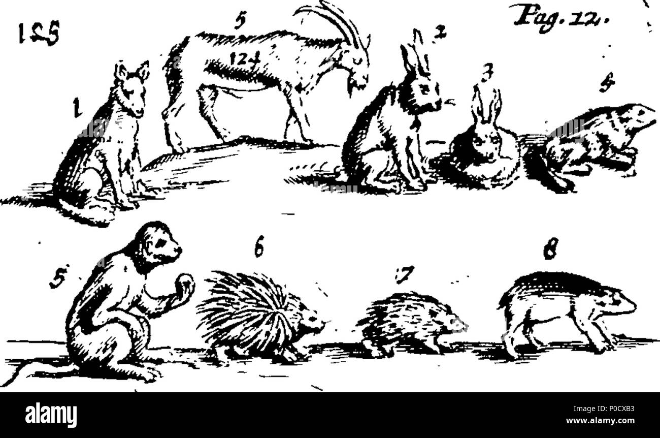 . Anglais : Fleuron du livre : Une courte et facile méthode pour donner aux enfants une idée ou vrai notion d'êtres humains : céleste et terrestre et de leur apprendre les noms de la plupart des choses qui sont utiles et nécessaires à la vie humaine : comme aussi, des arts et des sciences, les plantes, fruits et animaux ; comme poissons, oiseaux et bêtes Four-Footed : Français et Anglais. Représenté par plusieurs centaines de chiffres dans 38 des plaques de cuivre, en forme pour ceux qui sont désireux d'apprendre ces langues.  = méthode courte et facile pour donner aux enfans une idée des choses célestes et terrestres : Et pour leurs apprendre le nom et l'usage Banque D'Images