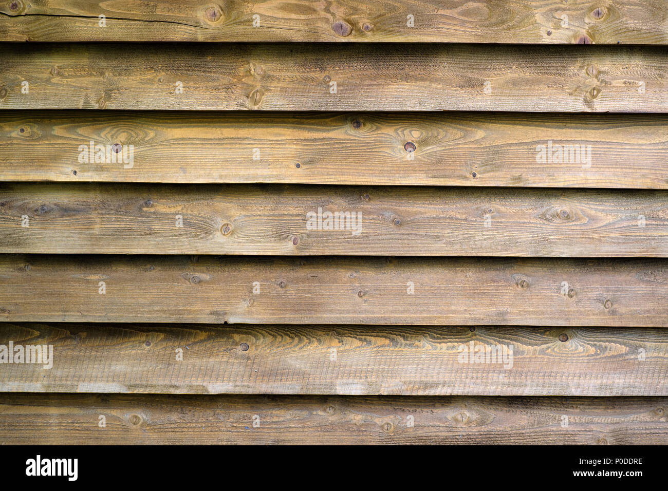 La texture de la planche en bois Banque D'Images