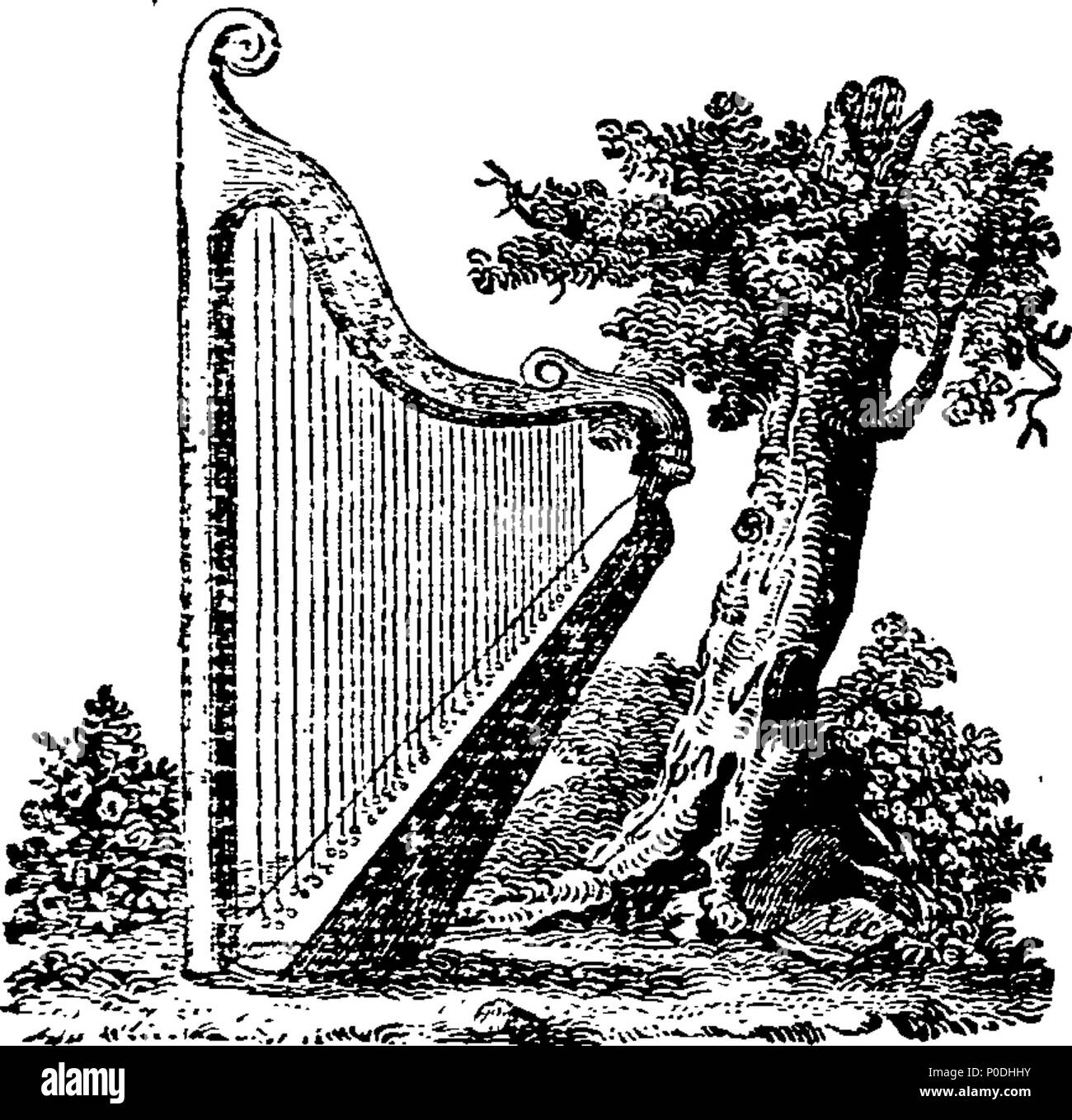 . Anglais : fleuron de livre : un tour autour de Galles du Nord, effectuées au cours de l'été 1798 : contenant non seulement la description et l'histoire locale du pays, mais aussi, d'une esquisse de l'histoire de la Welsh Bards ; un essai sur la langue ; des observations sur les moeurs et coutumes, et des habitats d'au-dessus de 400 de plus des plantes indigènes rares ; conçu comme un guide pour les touristes. Par le révérend W. Bingley, B.A. F.L.S. de St Peter's College, Cambridge. Illustré de vues en aquatinta par Alken. En deux volumes. ... 223 un tour autour de North Wales Fleuron T089314-2 Banque D'Images