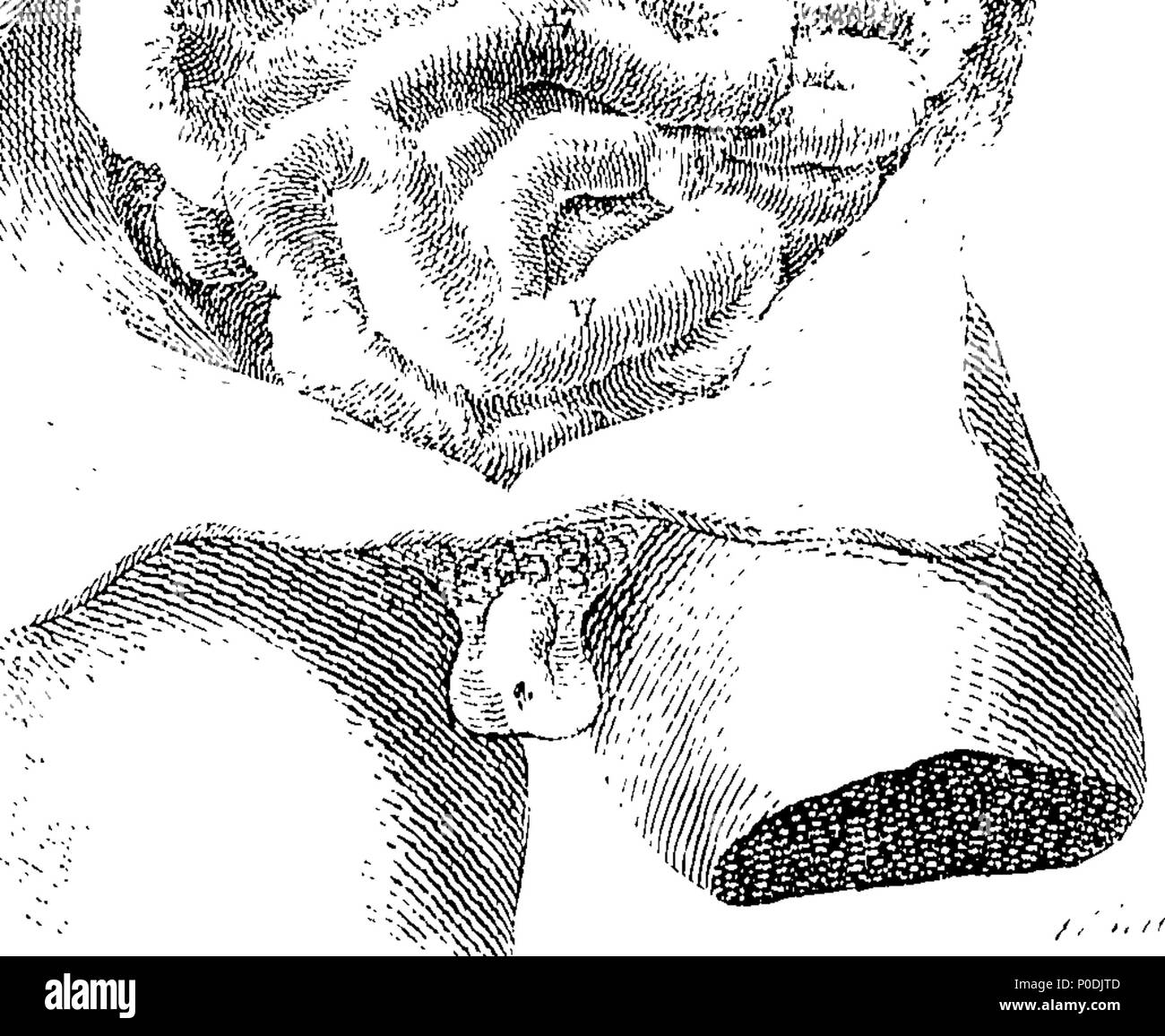 . Anglais : fleuron de livre : un système d'anatomie et physiologie ; à partir de la dernière et meilleure auteurs. Organisées, autant que la nature du travail pourrait admettre, dans l'ordre des exposés par le professeur d'anatomie à l'Université d'Édimbourg. La deuxième édition. En trois volumes. Pour ce qui est ajouté, l'anatomie comparée. Illustrés par des cuivres. ... 217 Un système d'anatomie et physiologie ; à partir de la dernière et meilleure auteurs Fleuron T140962-1 Banque D'Images