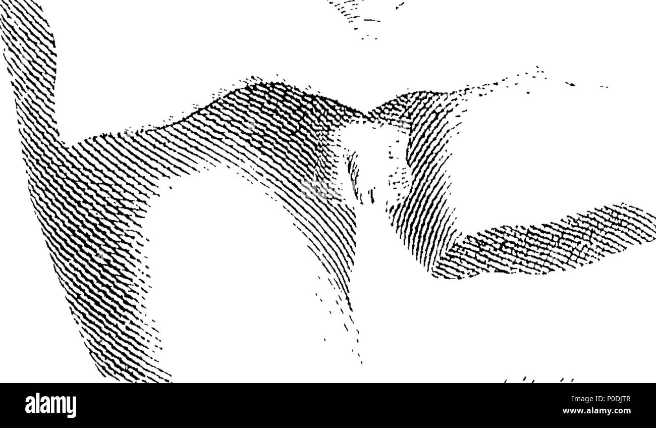 . Anglais : fleuron de livre : un système d'anatomie et physiologie ; à partir de la dernière et meilleure auteurs. Organisées, autant que la nature du travail pourrait admettre, dans l'ordre des exposés par le professeur d'anatomie à l'Université d'Édimbourg. La deuxième édition. En trois volumes. Pour ce qui est ajouté, l'anatomie comparée. Illustrés par des cuivres. ... 217 Un système d'anatomie et physiologie ; à partir de la dernière et meilleure auteurs Fleuron T140962-2 Banque D'Images