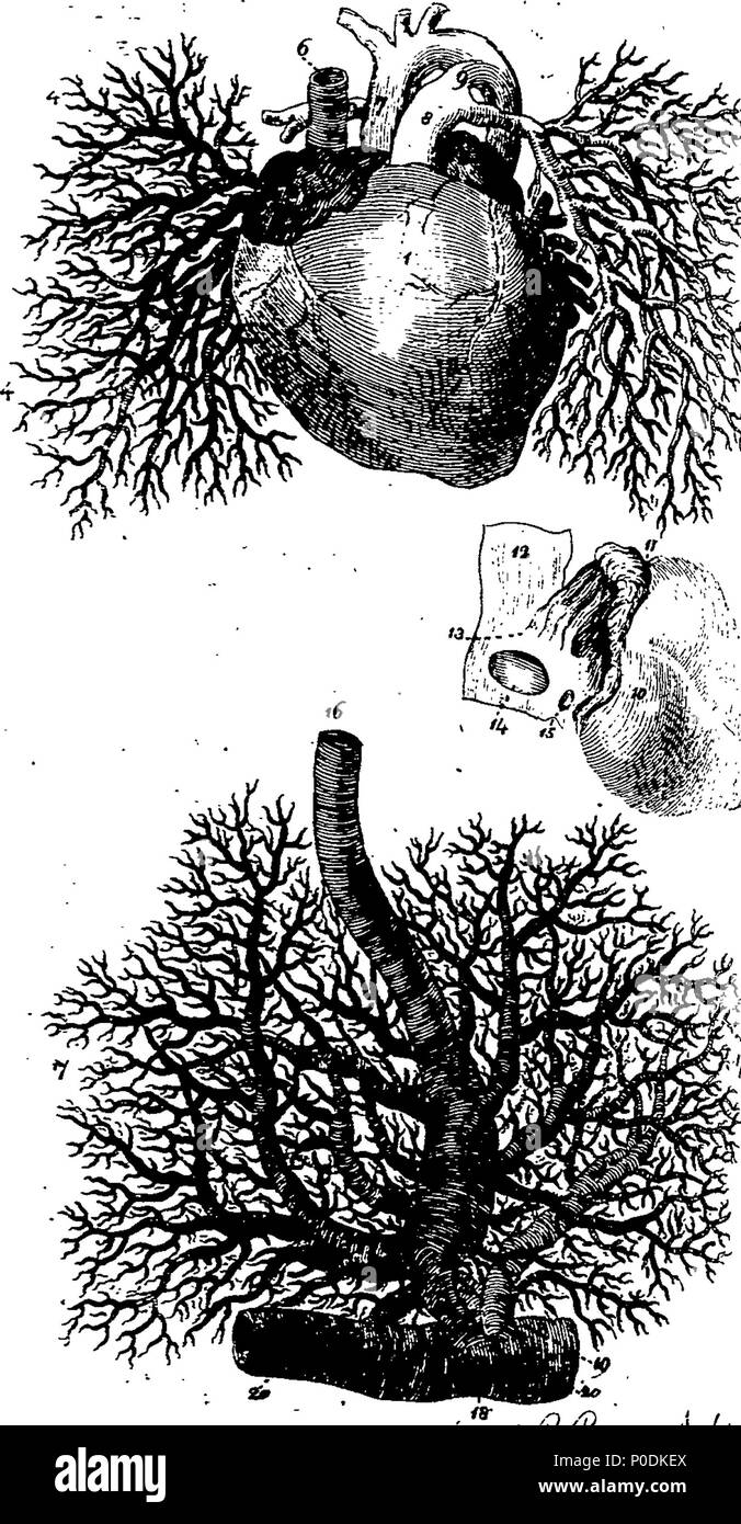 . Anglais : fleuron de livre : un système de sage-femme, théoriques et pratiques. Illustrés par des plaques de cuivre. Par David Spence, M.D. Diplômé du Collège royal des médecins, Édimbourg, et Fellow de la Société des antiquaires écossais. 218 Un système de sage-femme, théorique et pratique Fleuron T051040-12 Banque D'Images