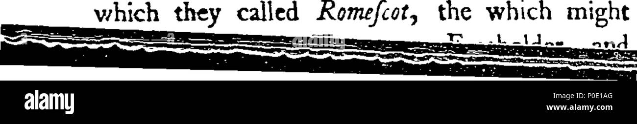 . Anglais : Fleuron du livre : une vue de l'état de l'Irlande comme c'est dans le règne de la reine Elizabeth. Écrit par voie de dialogue entre Eudoxe et Irénée. Par Edmund Spenser. Pour ce qui est de l'auteur avait préfixe de la vie, et un index ajouté à l'Œuvre. 244 Une vue de l'état de l'Irlande comme c'est dans le règne de la reine Elizabeth Fleuron T134646-1 Banque D'Images