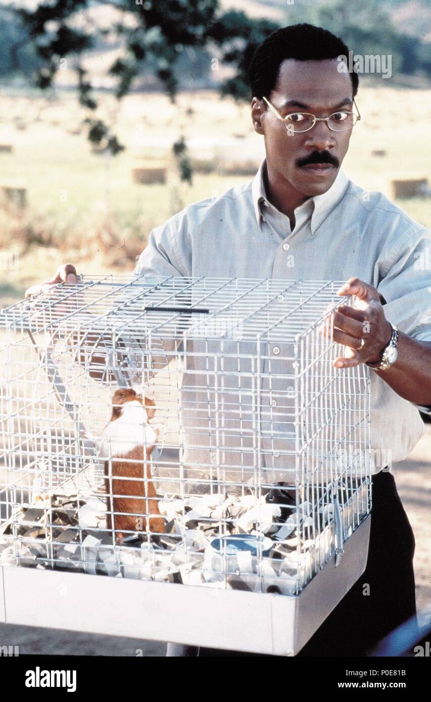 Titre original : DR. DOLITTLE. Titre en anglais : DR. DOLITTLE. Directeur de film : BETTY THOMAS. Année : 1998. Stars : Eddie Murphy. Crédit : 20TH CENTURY FOX / BRAY, PHIL / Album Banque D'Images