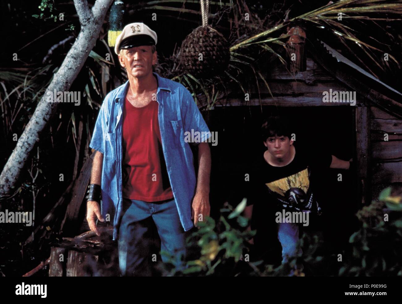 Titre original "Flipper". Titre en anglais "Flipper". Directeur de