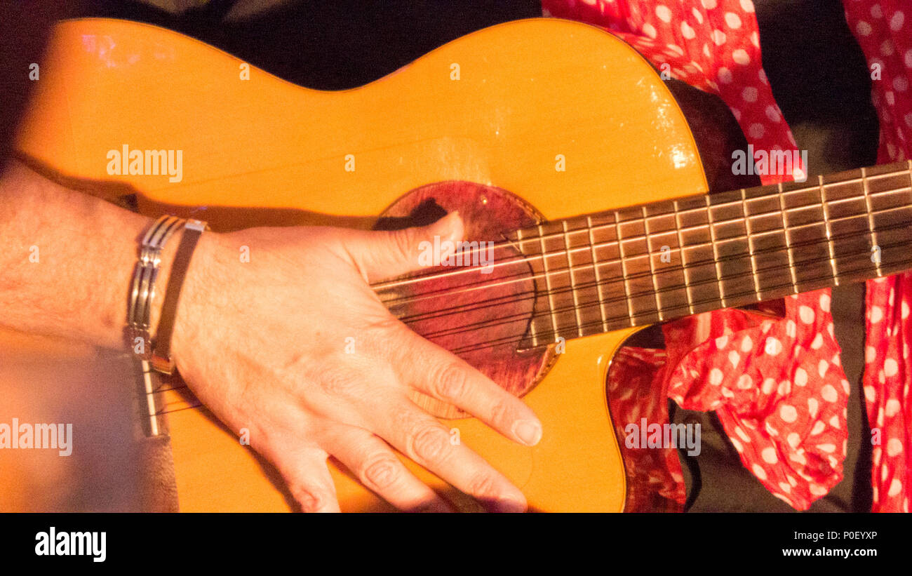 Le guitariste flamenco Banque D'Images