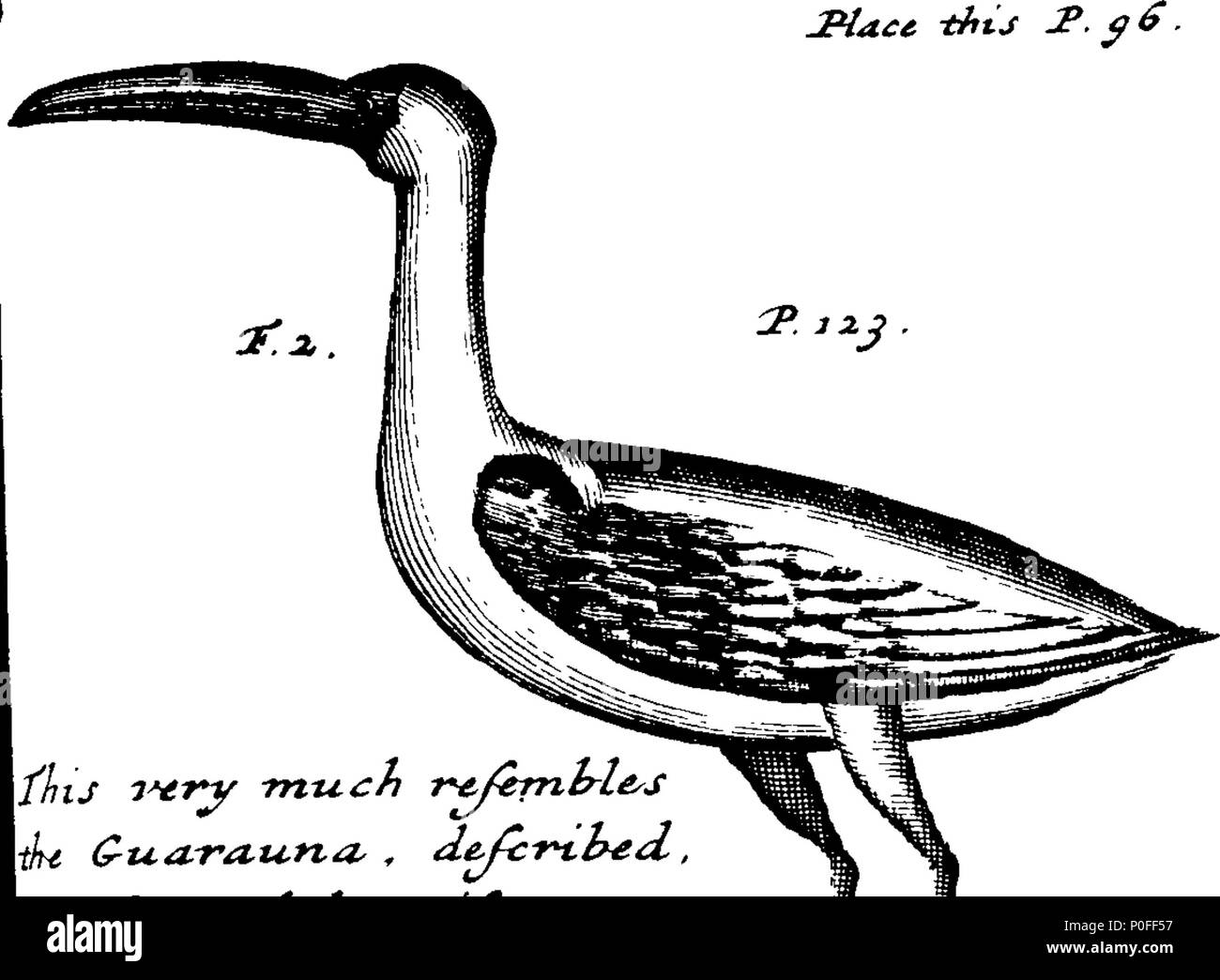 . Anglais : fleuron de livre : un voyage à New Holland, &c. dans l'année, 1699. Où sont décrits, le Canary-Islands, les îles de Mayo et St Jago. La baie de tous les Saints, avec les forts et la ville de Bahia au Brésil. Cape Salvadore. Les Vents sur la côte brésilienne. Abrohlo-Shoals. Un tableau de toutes les variations de ce voyage avait observ. Occurrences près du Cap de Bonne Espérance. Le cours à New Holland. Shark's Bay. Les îles et la côte &c. de New Holland. Leurs habitants, les Mœurs, les coutumes, le commerce, &c. Leurs ports, du sol, des bêtes, des oiseaux, des poissons, &c. Arbres, plantes, fruits, &c. Illustré avec s Banque D'Images